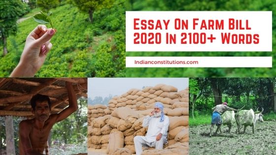 essay on agriculture bill 2020
