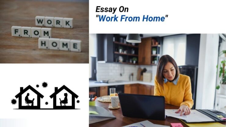 work from home essay