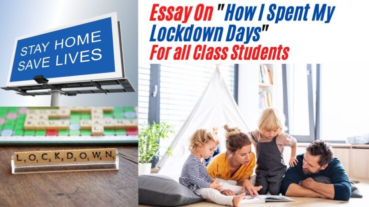 Essay On How I Spent My Lockdown Days