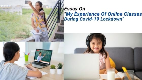essay about online classes experience