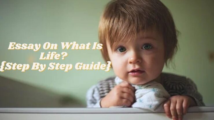 Essay On What Is Life