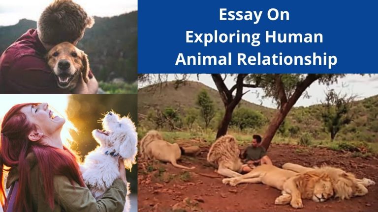 Essay On Exploring Human Animal Relationship In 500+ Words » ✔️