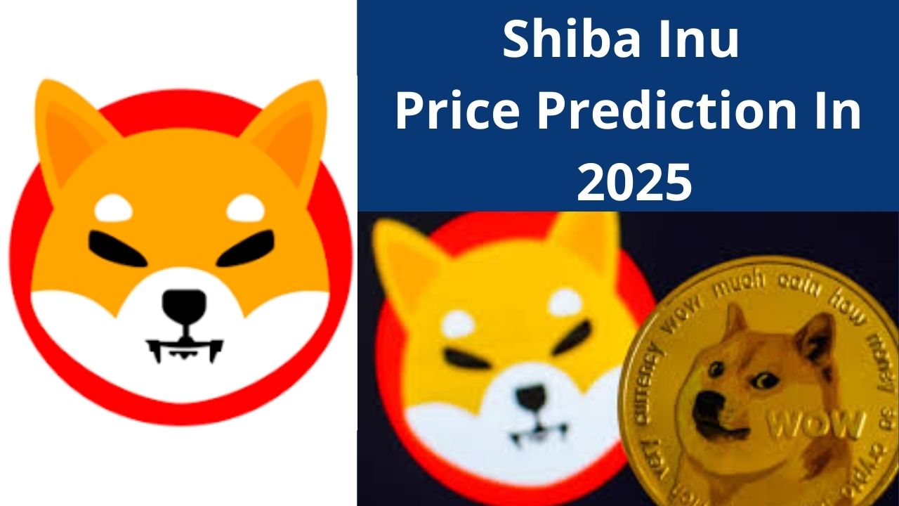 Shiba inu coin price prediction 2025