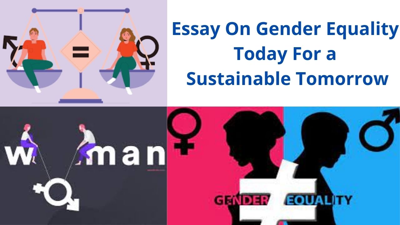 gender equality today for a sustainable tomorrow essay pdf