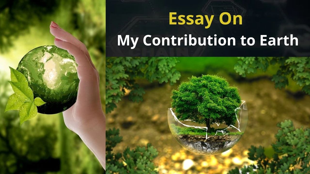 Essay On My Contribution to Earth In English