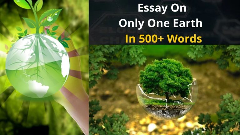 Essay On Only One Earth