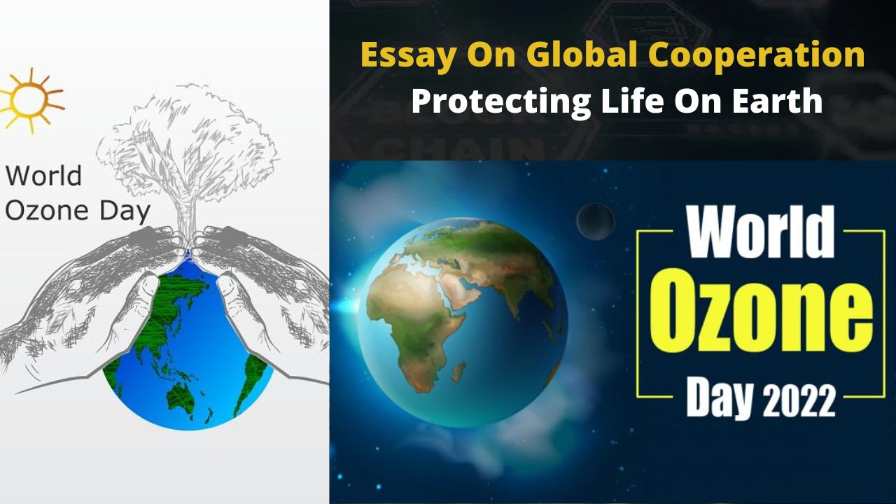 Essay On Global Cooperation Protecting Life On Earth