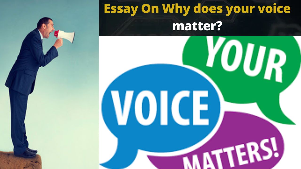 Essay On Why does your voice matter?