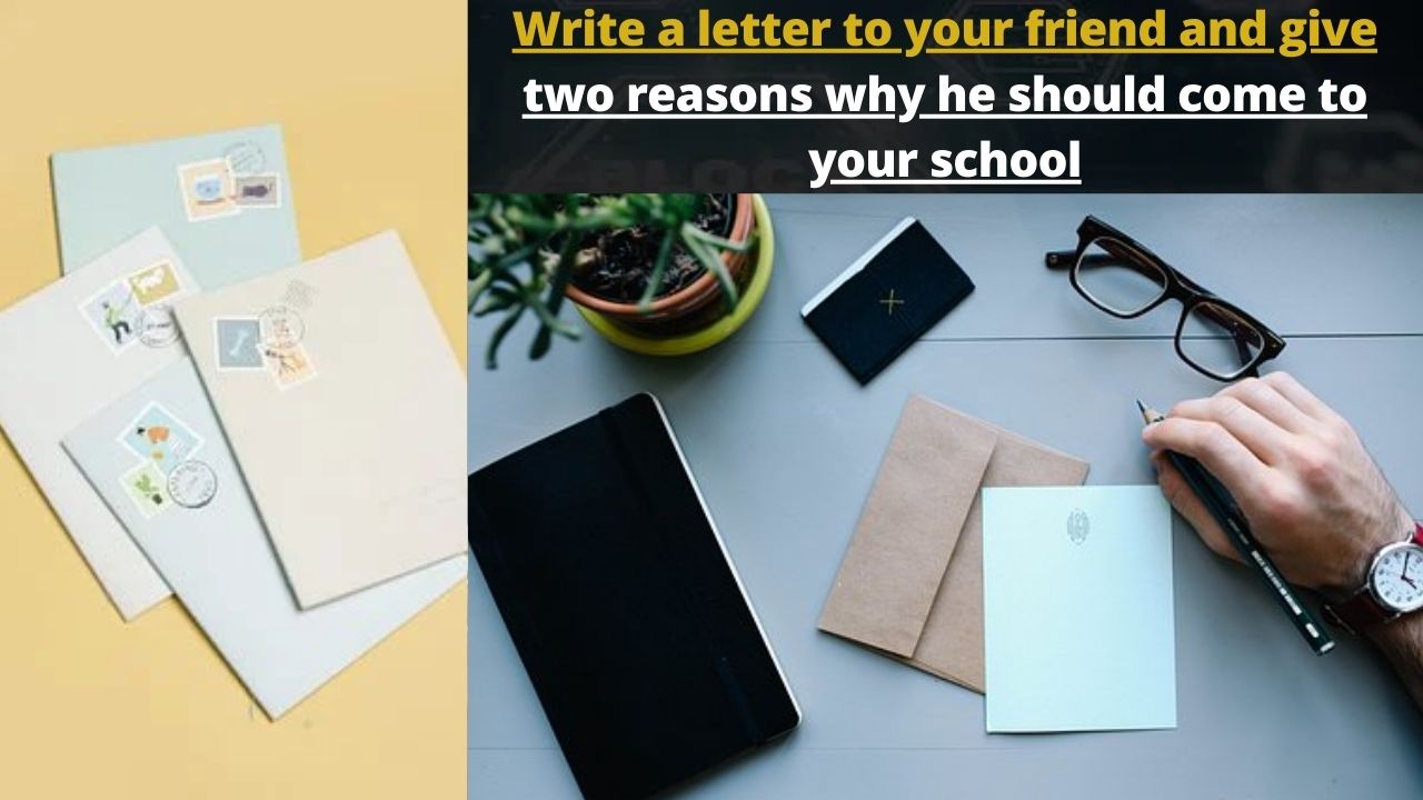 Write a letter to your friend and give two reasons why he should come to your school​