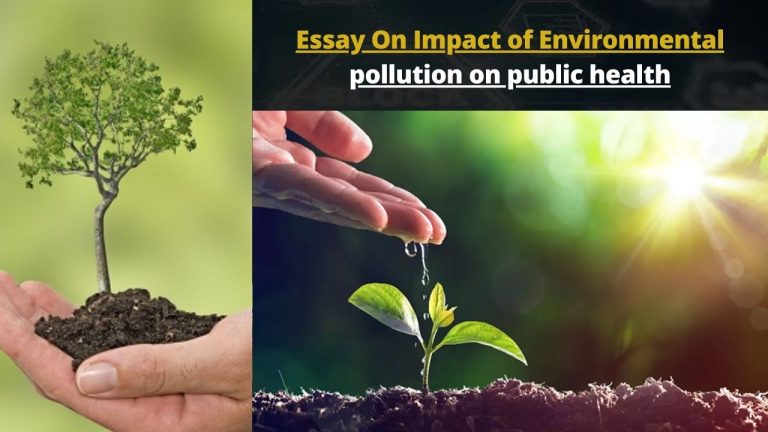 Essay On Impact of Environmental pollution on public health