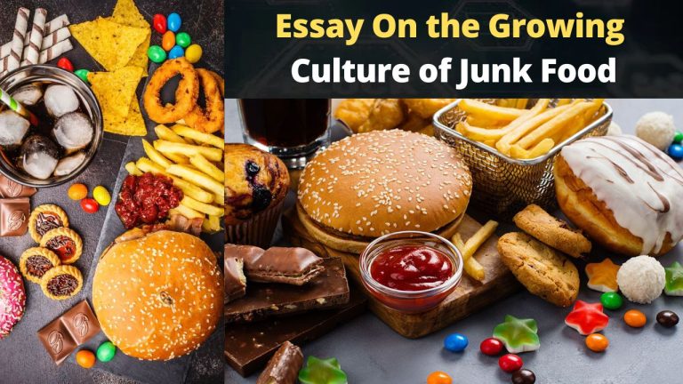 Essay On the Growing Culture of Junk Food