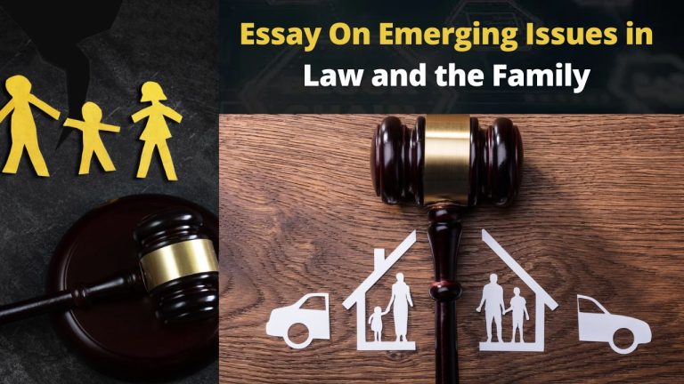 Essay On Emerging Issues in Law and the Family