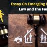 Essay On Emerging Issues in Law and the Family