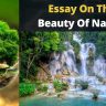 Essay On The Beauty Of Nature