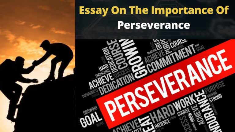 Essay On The Importance Of Perseverance
