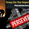 Essay On The Importance Of Perseverance