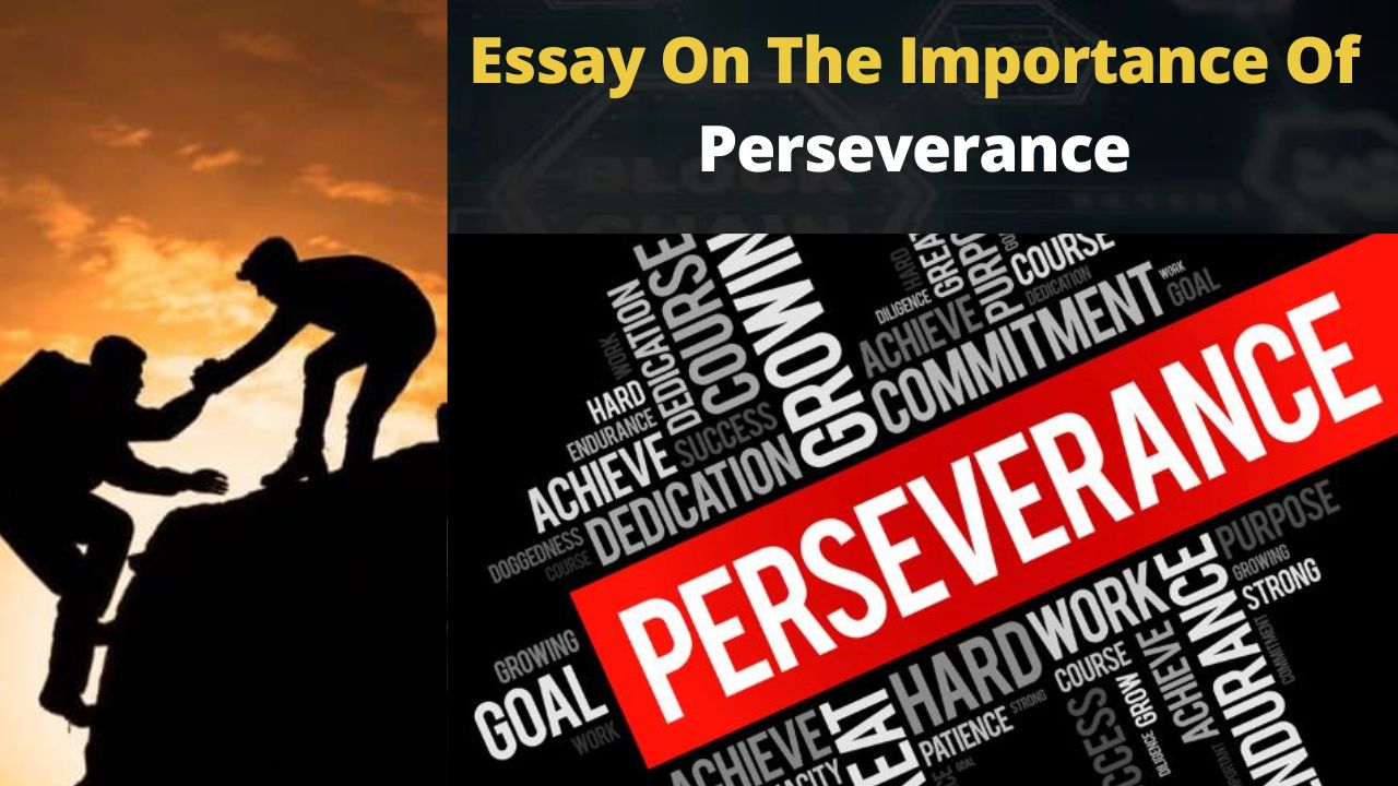 narrative essay on perseverance