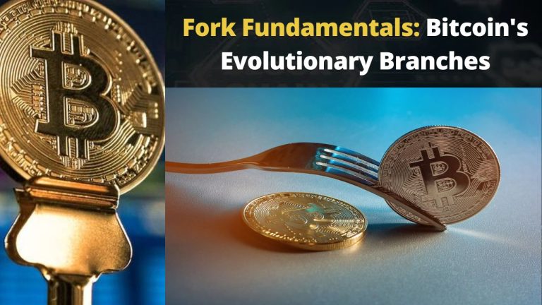 Fork Fundamentals: Bitcoin's Evolutionary Branches