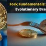 Fork Fundamentals: Bitcoin's Evolutionary Branches